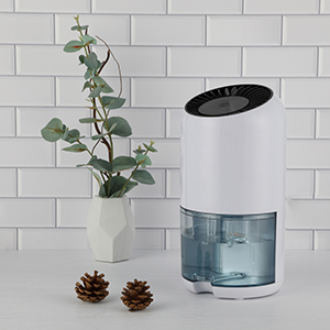 Stake���š�(�й���)�ٷ���վ